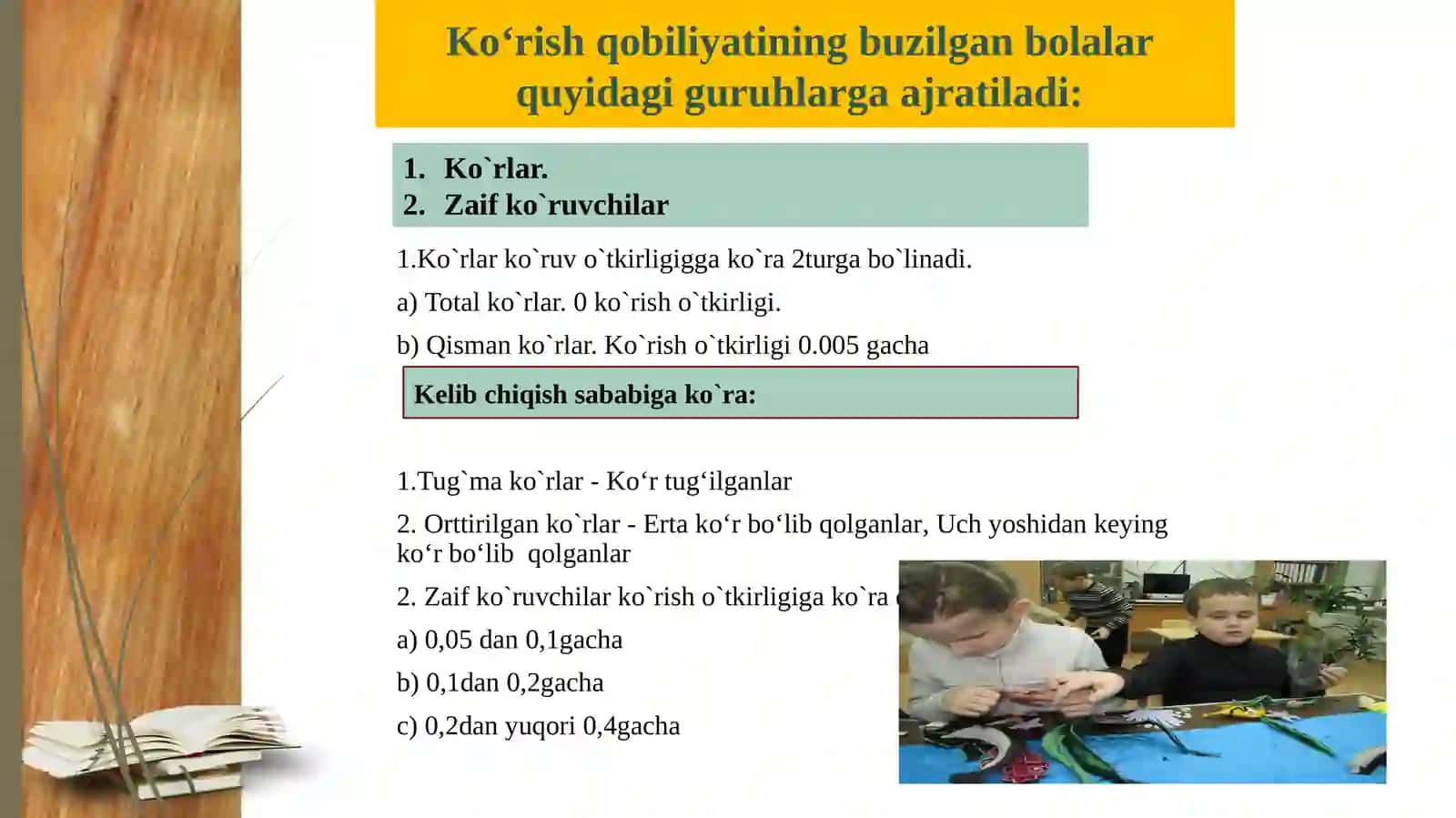 Ko‘rishda nuqsoni bo‘lgan bolalar logopedik ishlari 3