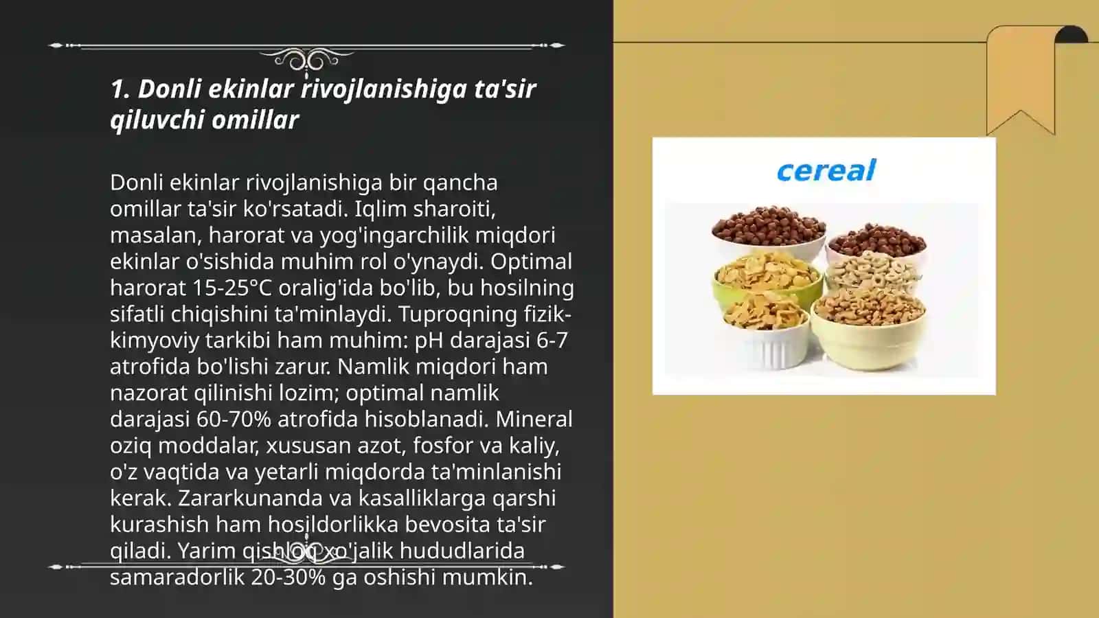 Donli ekinlarni rivojlanish fazasi 3