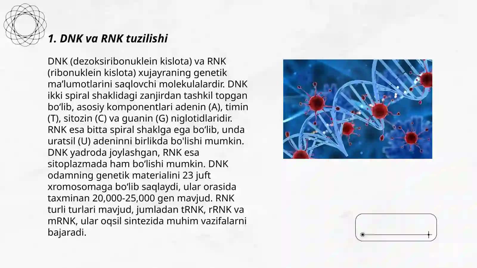 Irsiyatning molekulyar asoslar 3