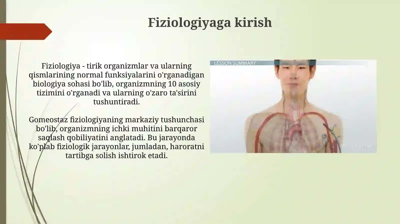 Fiziologiyafanigakirish.Qonaylanishtiziminingfiziologikasoslari 3