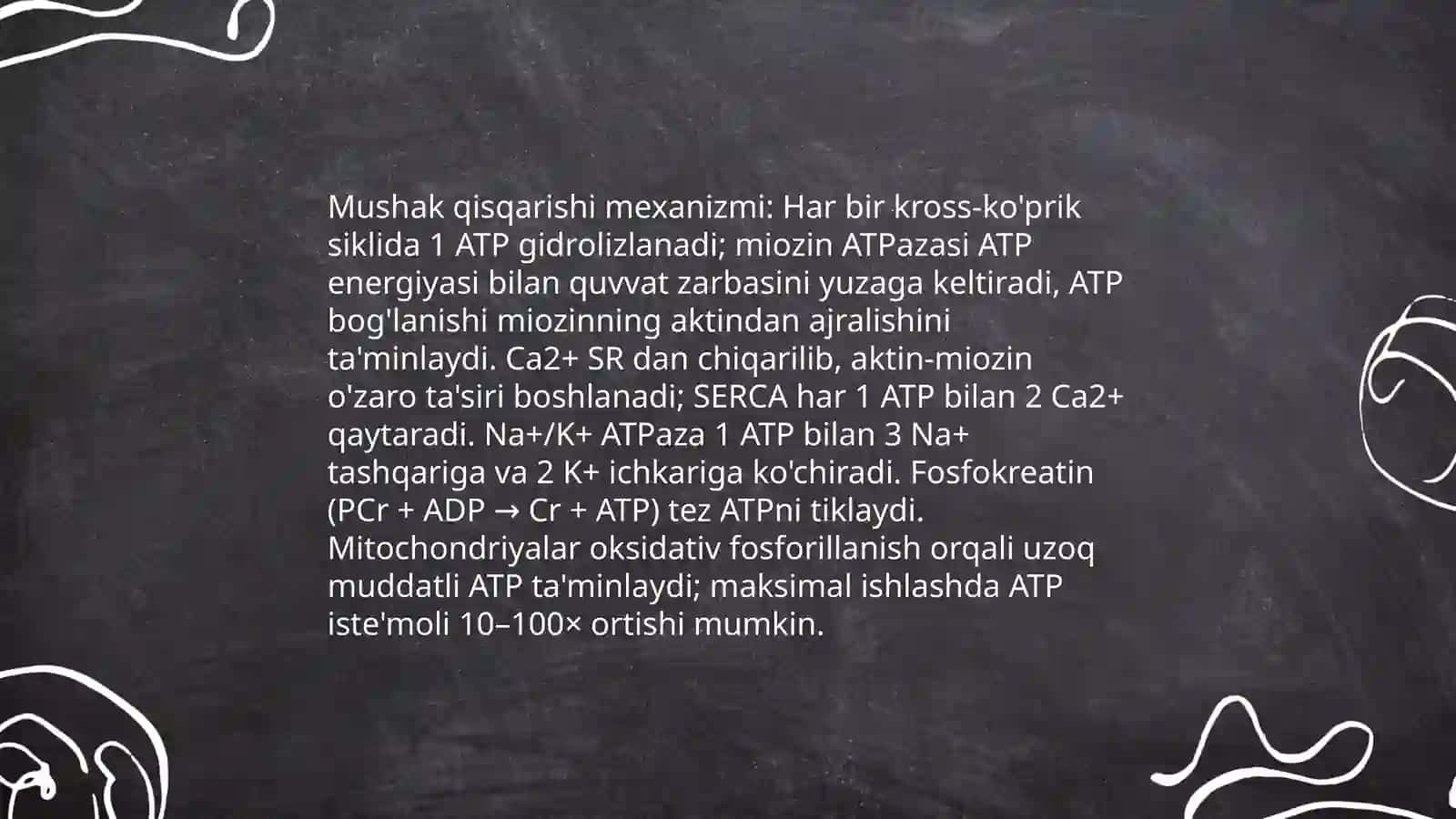 Mushak qisqarishining bioenergetikasi: ATF resintezi yoʻllari 3