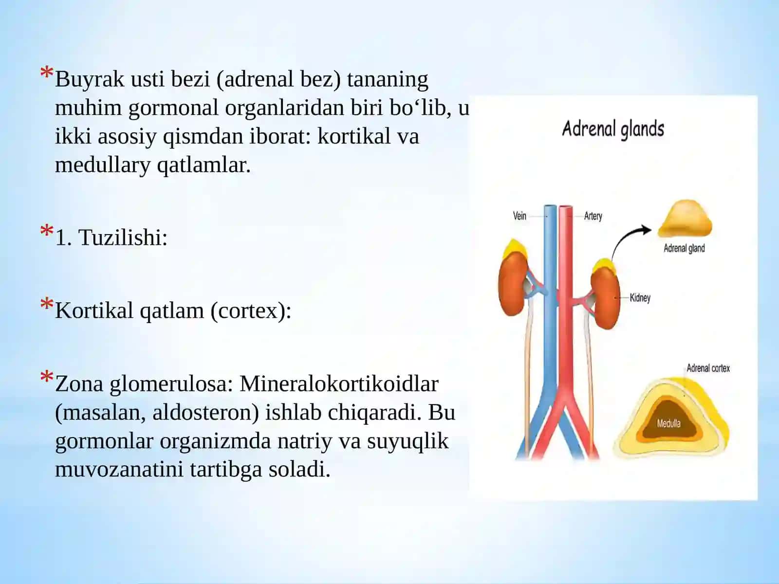 O'tkir buyrak ustibezi yetishmovchiligi 3