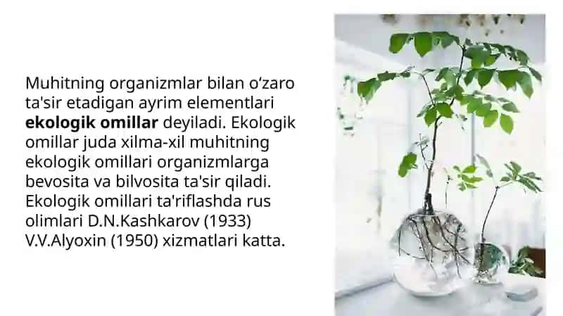 Turli ekologik omillarning tirik organizmlarga  ta’sir etish mexanizmlari 3