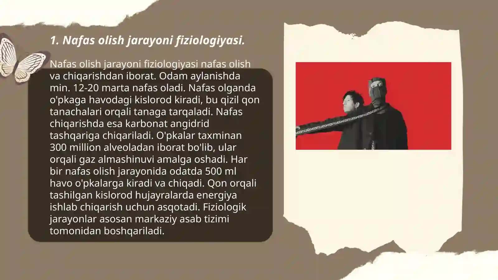 Nafas olish jarayoni 3
