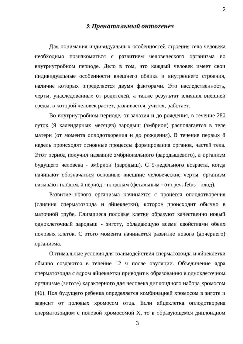 Возрастные периоды развития человека 3