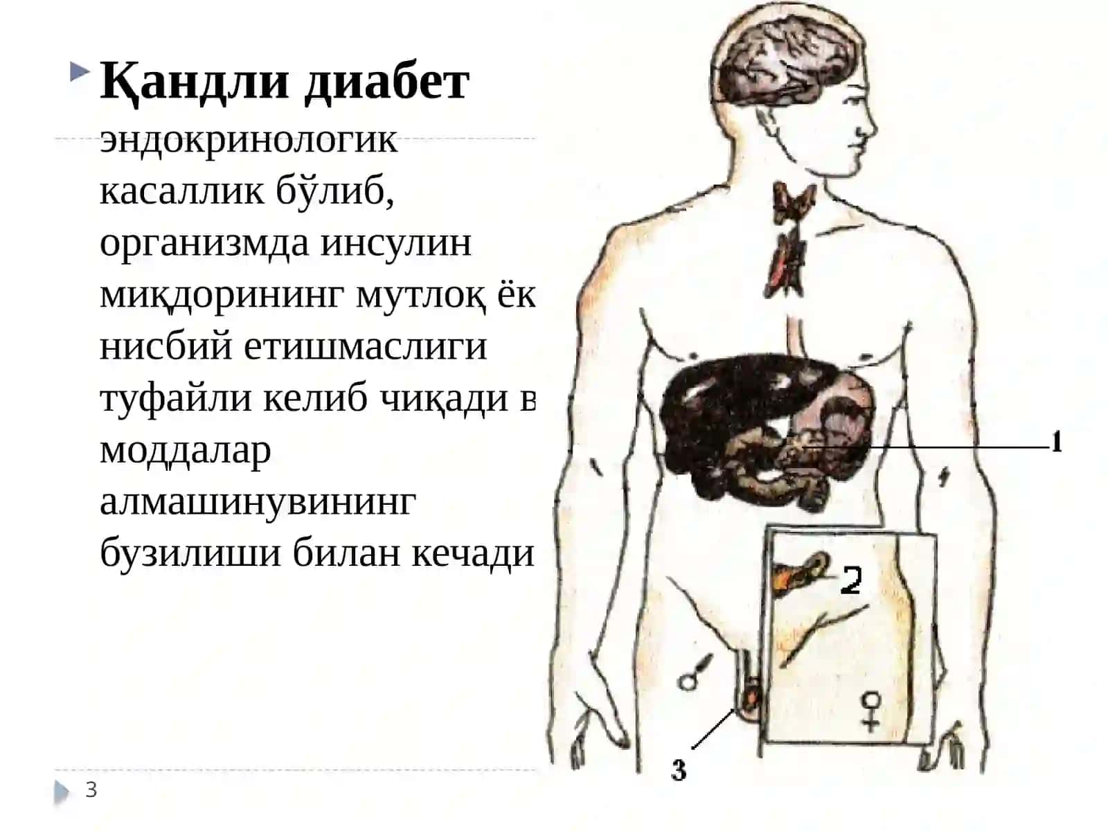 Эндокрин тизими касалликларида ҳамширалар томонидан олиб бориладиган текширувлар ва муолажалар, ҳамширалик парвариши 3