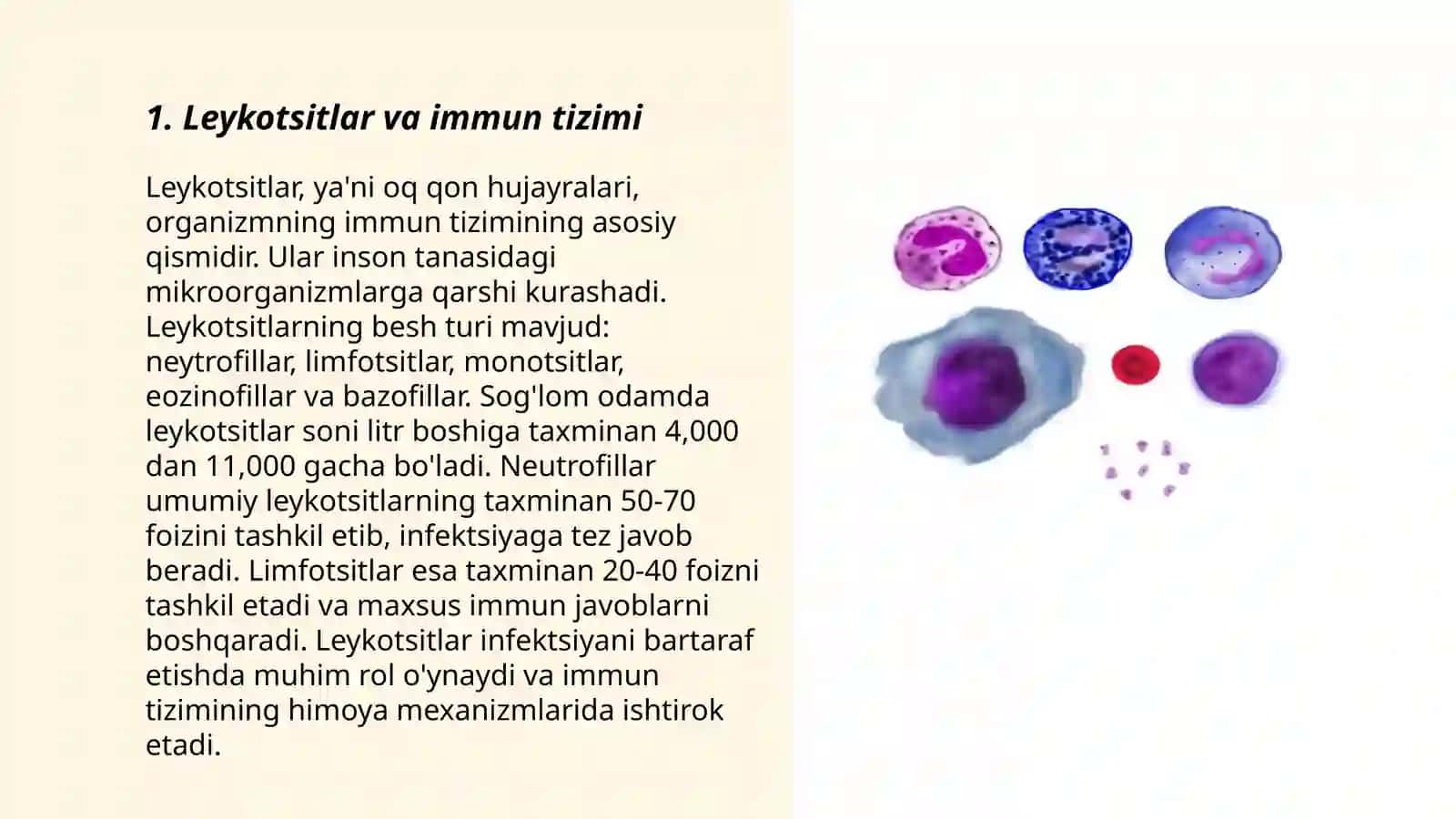 Leykotsitlar va immun tizimi 3