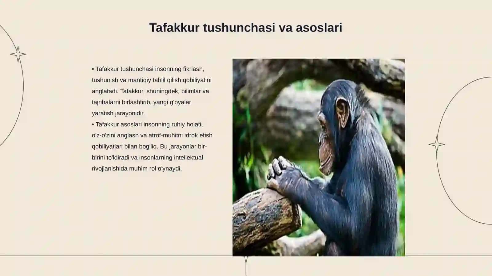 Tafakkur turlari va ularning rivojlanishi 3