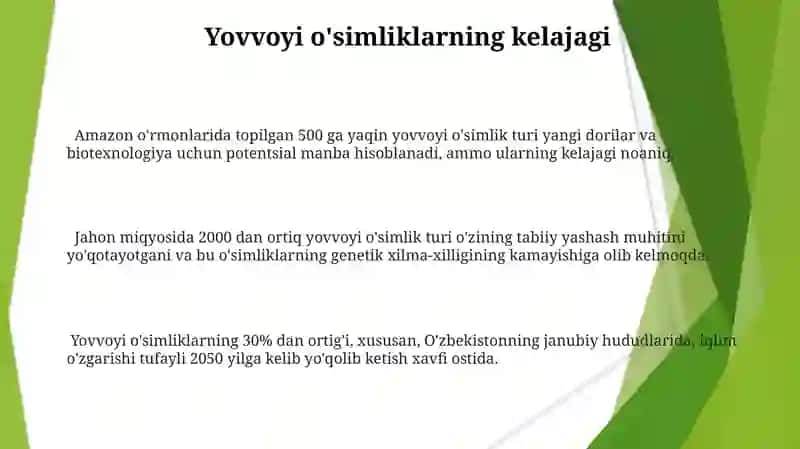Jag' jag'o'simligi 3