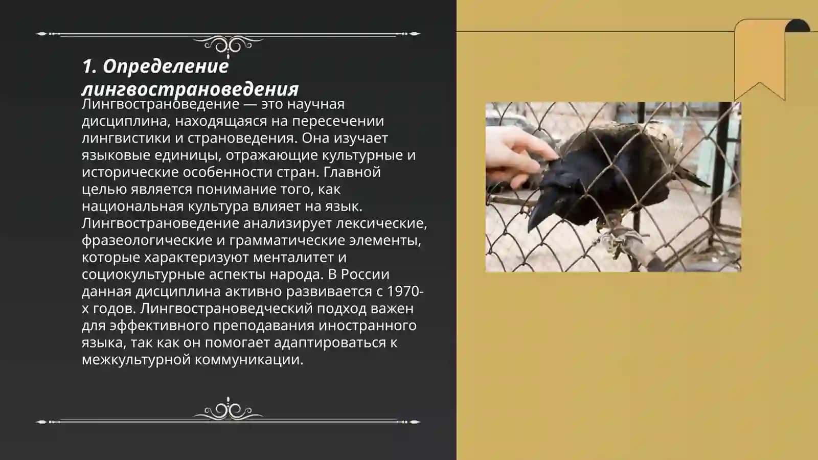 Методологические основы лингвострановедения. Лингвистические термины 3