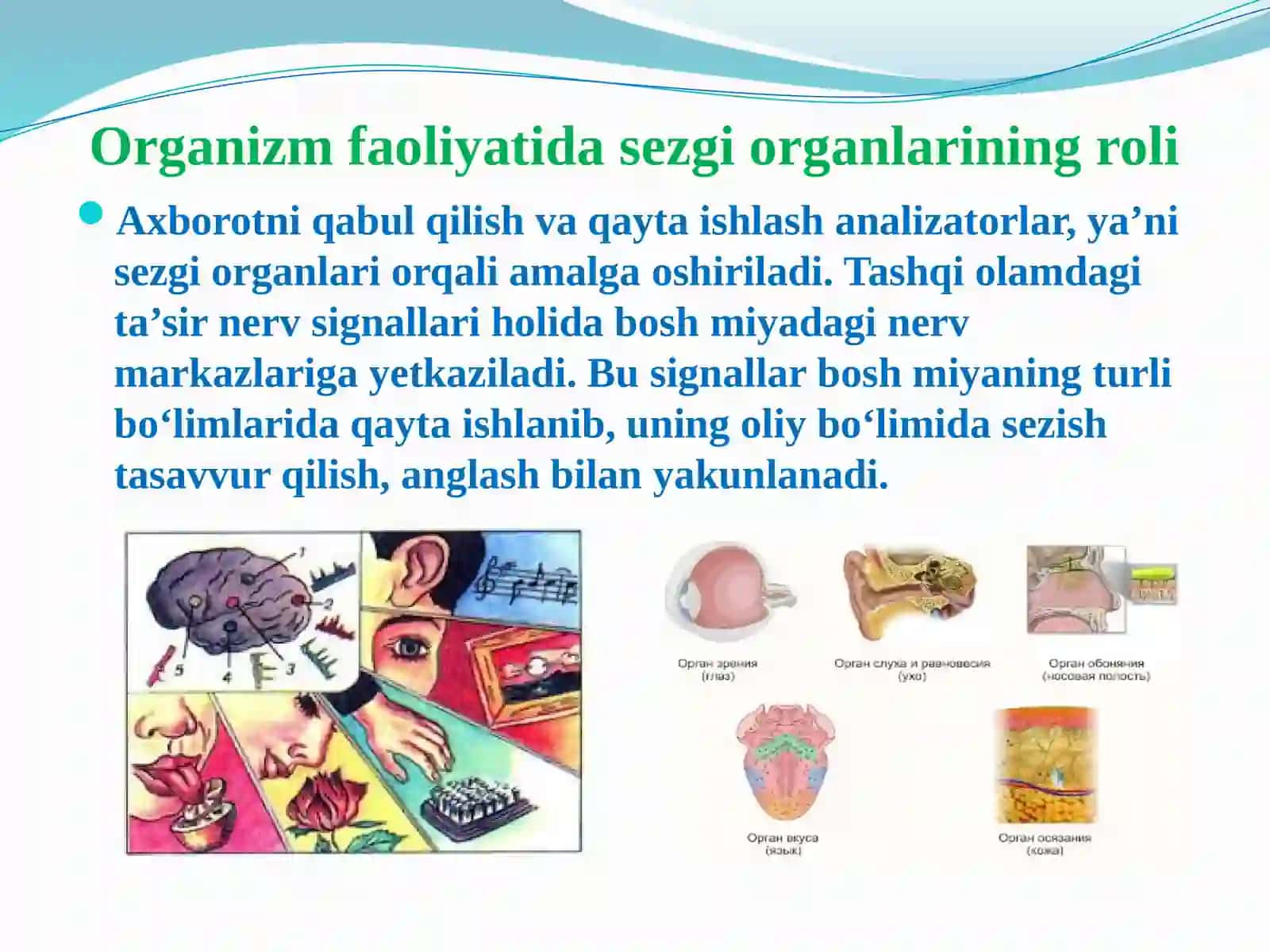 Yosh fiziologiyasi va gigiyenasi 3