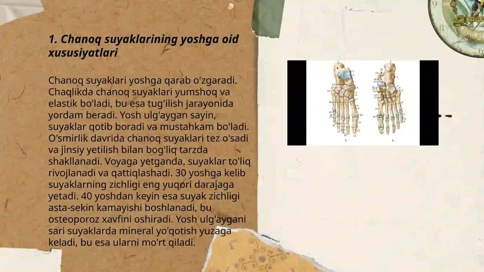 Chanoq va oyoq suyaklarining yoshga nisbatan xususiyatlari 3