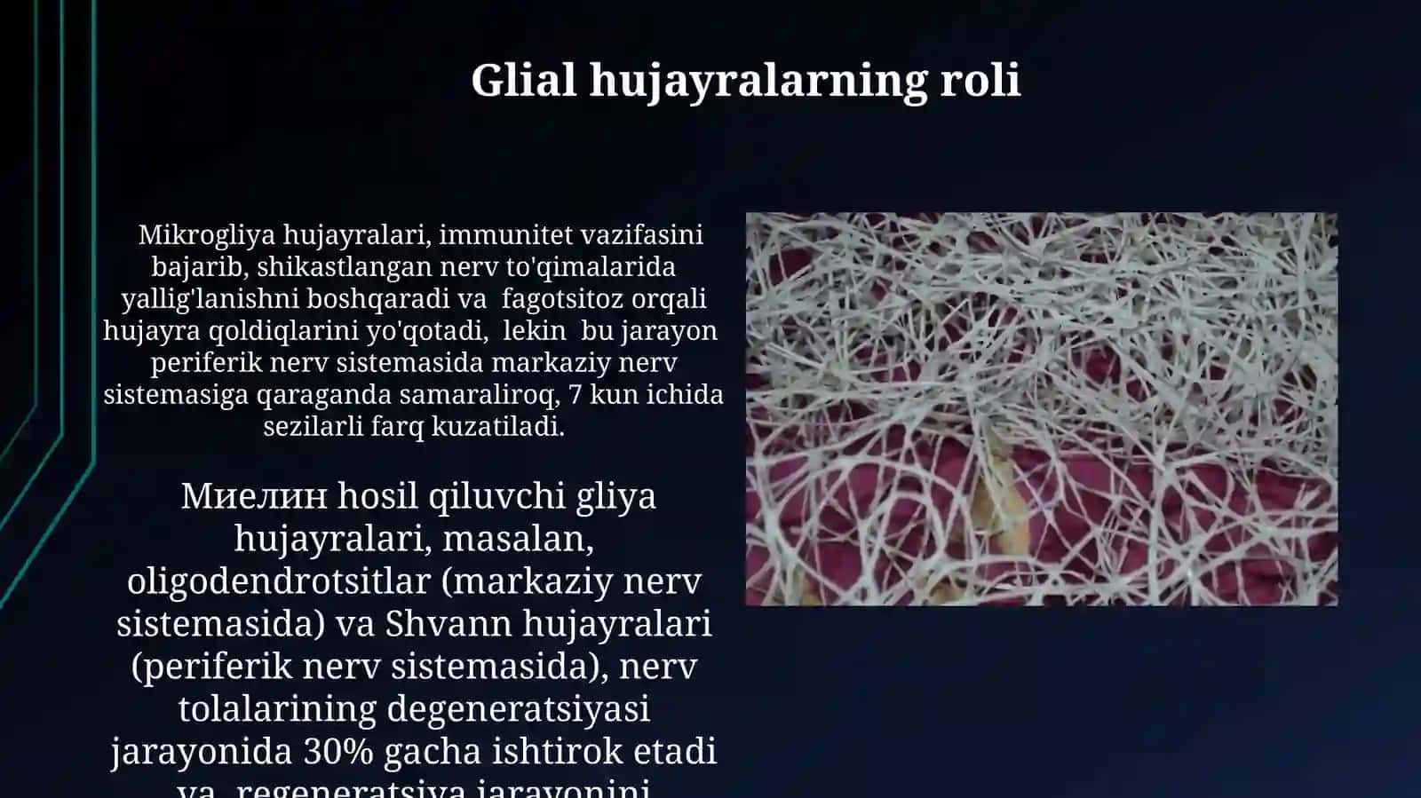 Nerv tòqimasining degeneratsiyasi varegeneratsiyasimexanizmlari 3