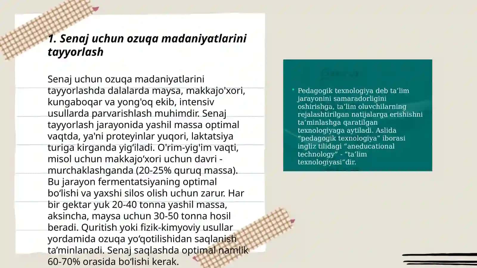 Senaj tayyorlash texnologiyasi 3