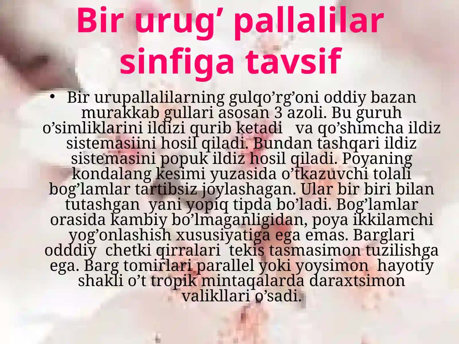 Bir urug’ pallali o’simliklar sinfining umumiy harakteristikasi. 3