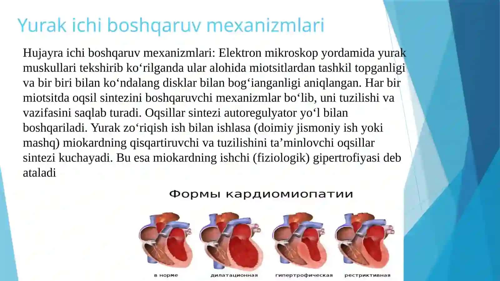 Yurak faoliyatini boshqarilishini o'ziga xosligi 3