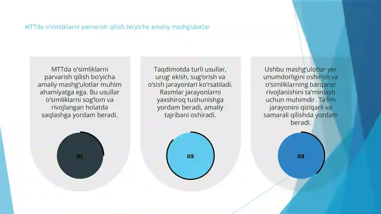 MTTda oʻsimliklarni parvarish qilish boʻyicha amaliy mashgʻulotlar 3