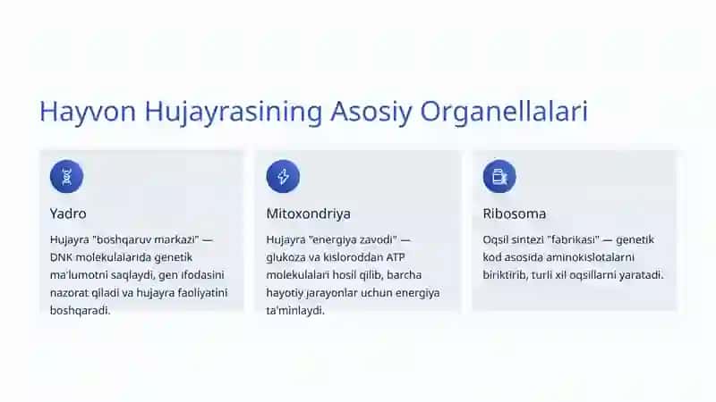 Hayvon Hujayrasining Tuzilishi: Hayotning Eng Kichik Sirli Dunyosi 3