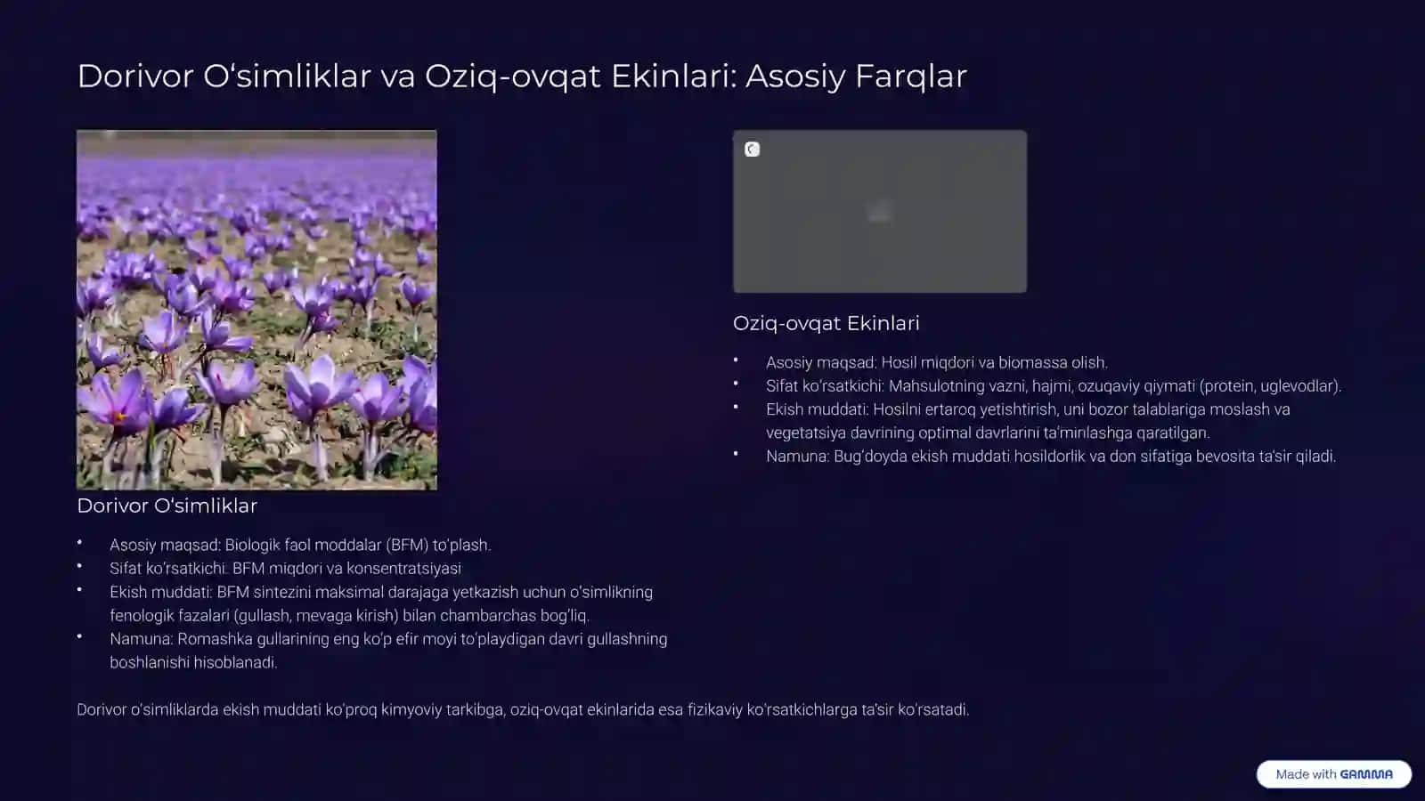Dorivor O‘simliklarni Optimal Ekish Muddatlarining Ilmiy Asoslari.Reja 3