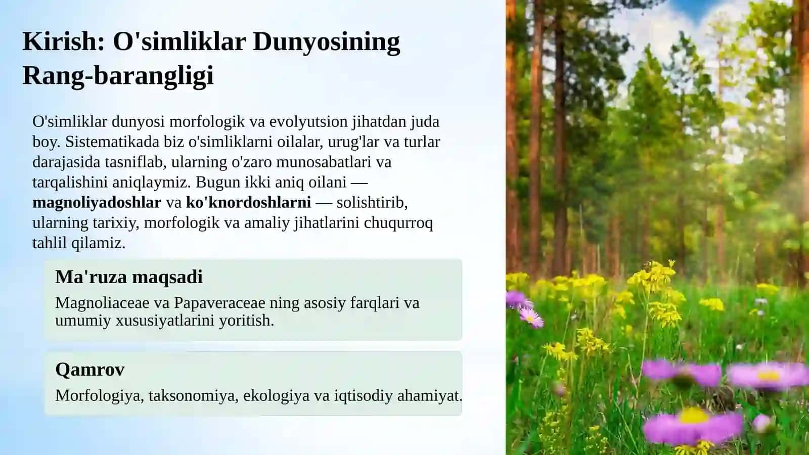 MagnoliyadoshlarvaKo'knordoshlarOilalari:Botanikva Sistematik Tahlil 3
