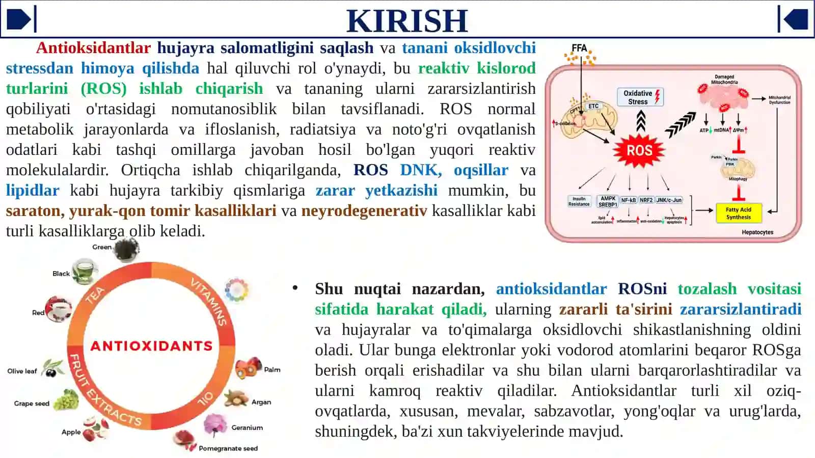 Antioksidantlar. Ularning klinikada qo'llanilishi 3