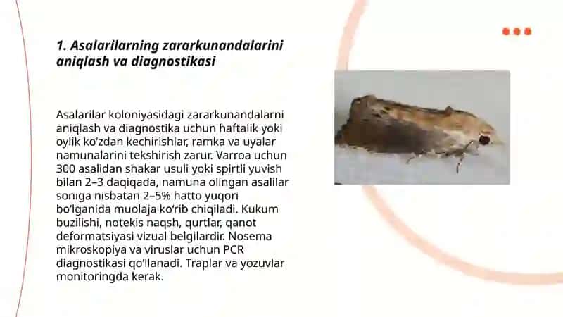Asalarilarning zararkunandalariga qarshi kurashish choralari 3