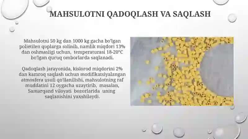 Makaron ishlab chiqish texnalo'giyasi 3