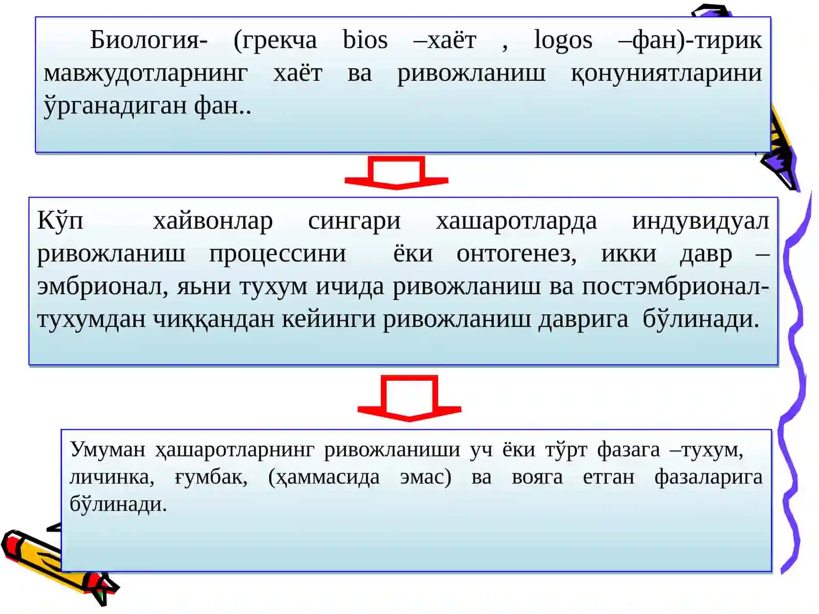 ҲАШАРОТЛАРНИНГ БИОЛОГИЯСИ, ЭКОЛОГИЯСИ ВА СИСТЕМАТИКАСИ 3