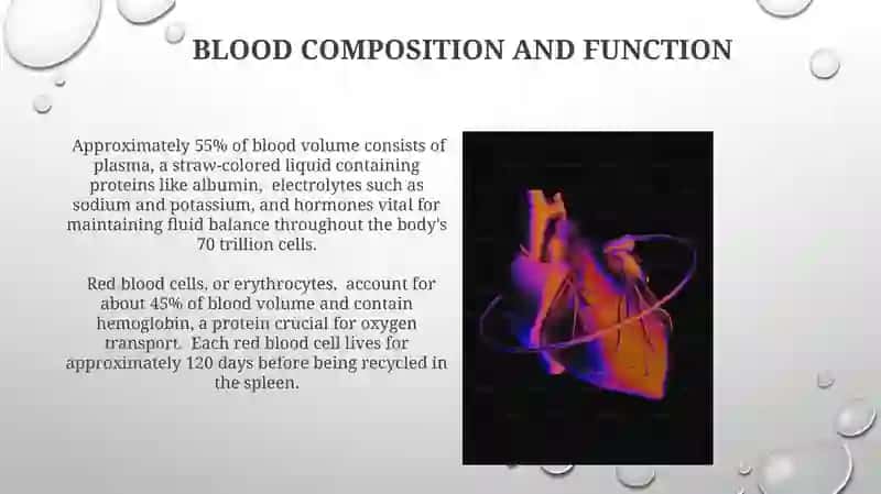 Heart and circulation 3