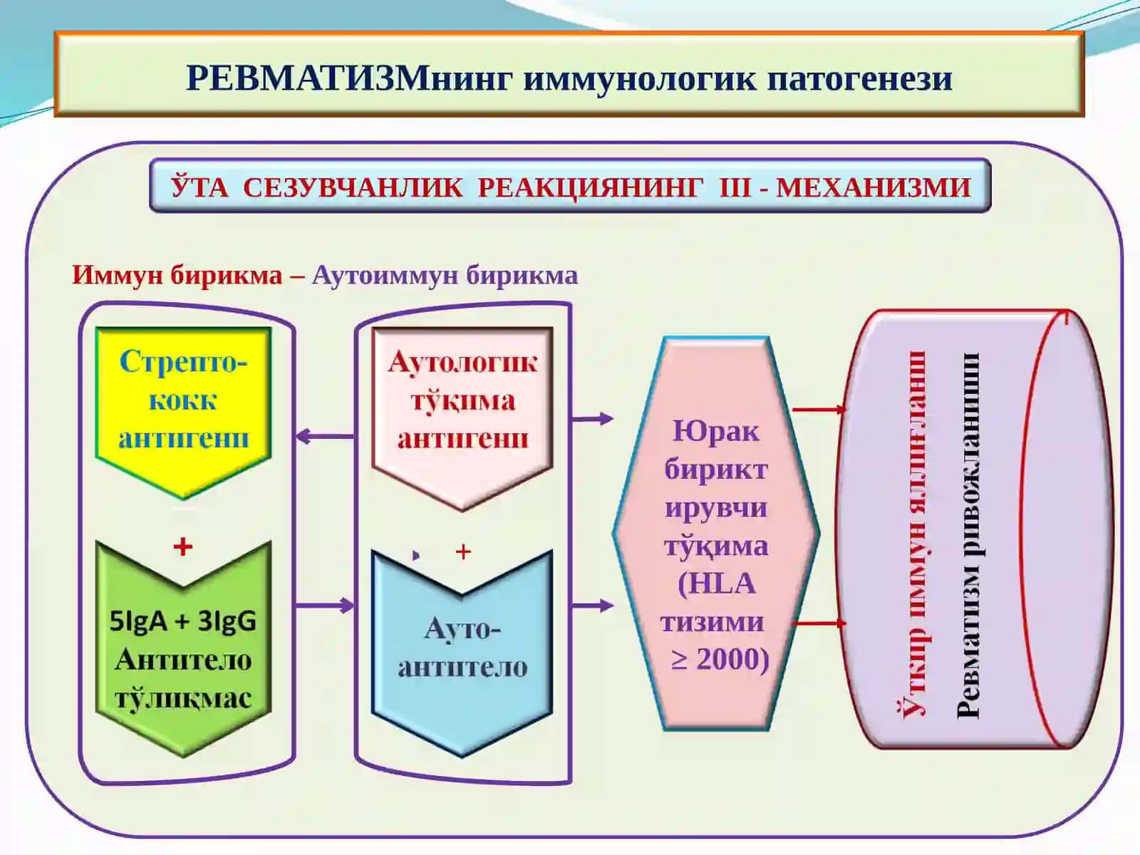 РЕВМАТИК КАСАЛЛИКЛАР 3
