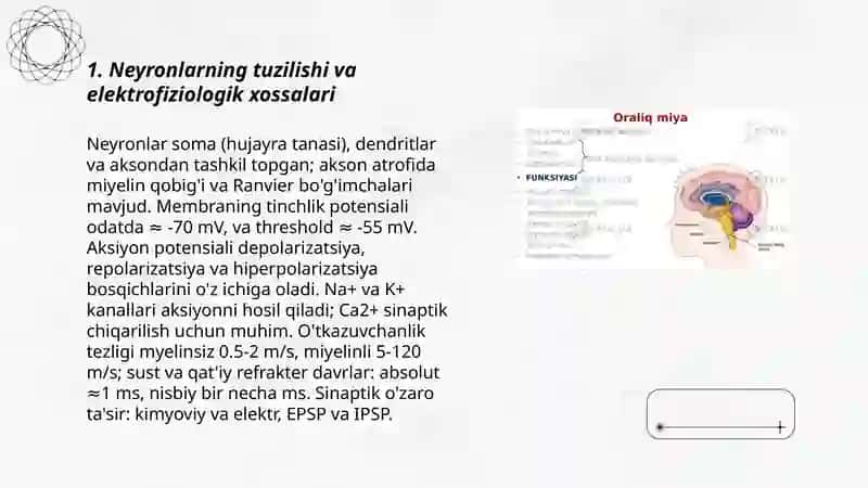Neyronlarning tuzilishi va elektrofiziologik xossalari 3