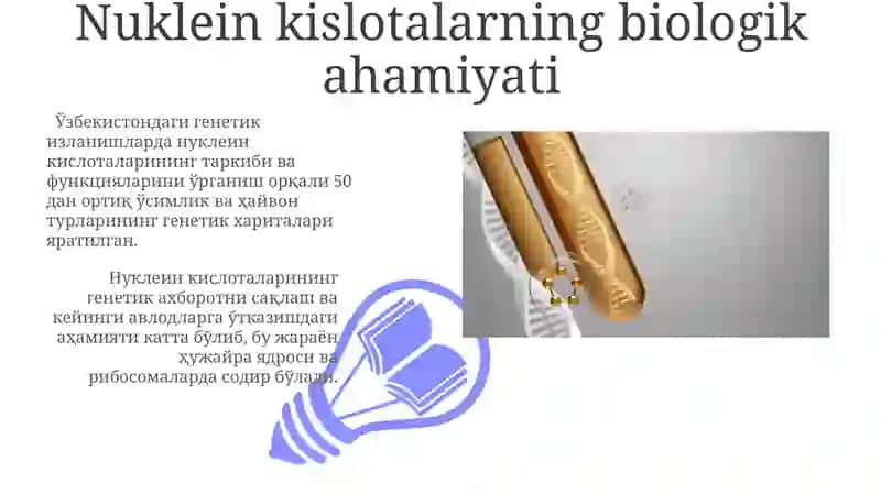 Nuklein Kislotalarning Tuzilishi va Ahamiyati 3