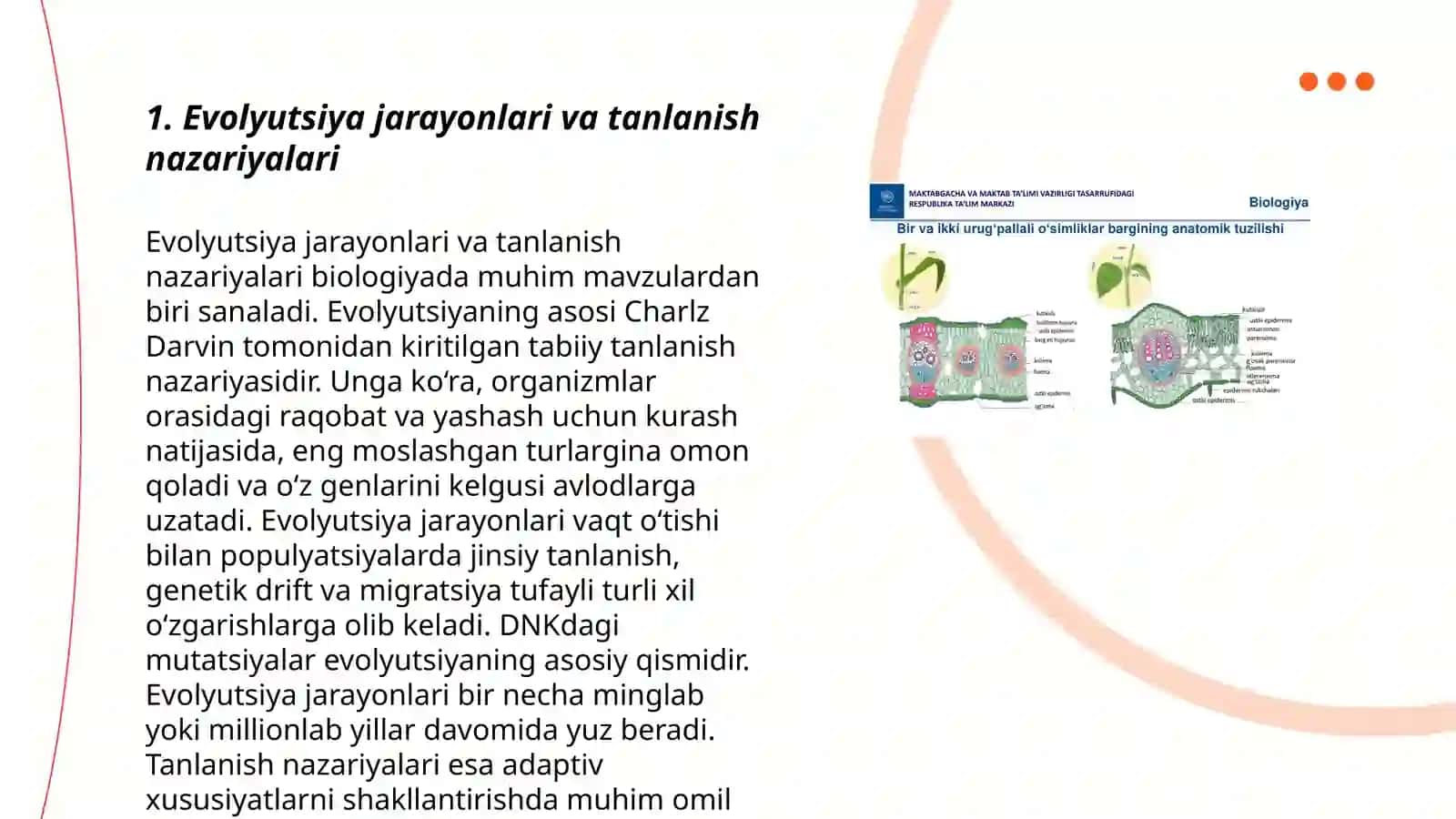 Biologiyadan mashg’ulotlarni rivojlantiruvchi ta’lim texnologiyasi asosida loyihalashtirish 3