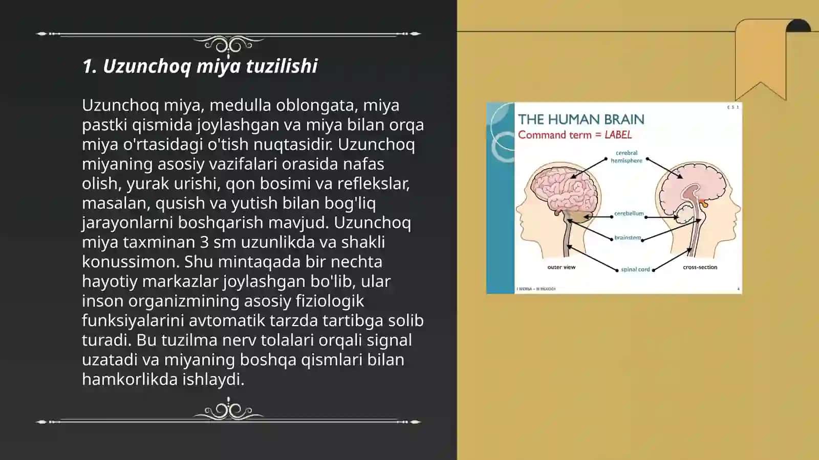 Uzunchoq miya miya koʻprigi miyacha 3