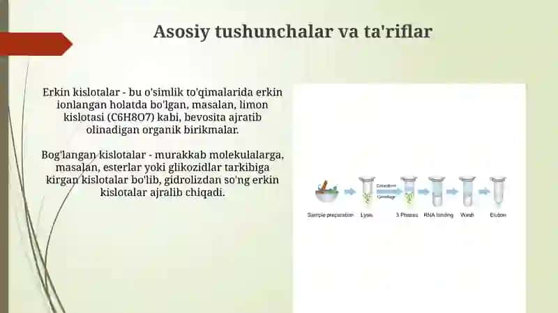 O'simliklardan erkin va bog'langan kislotalarni ajratib olish 3