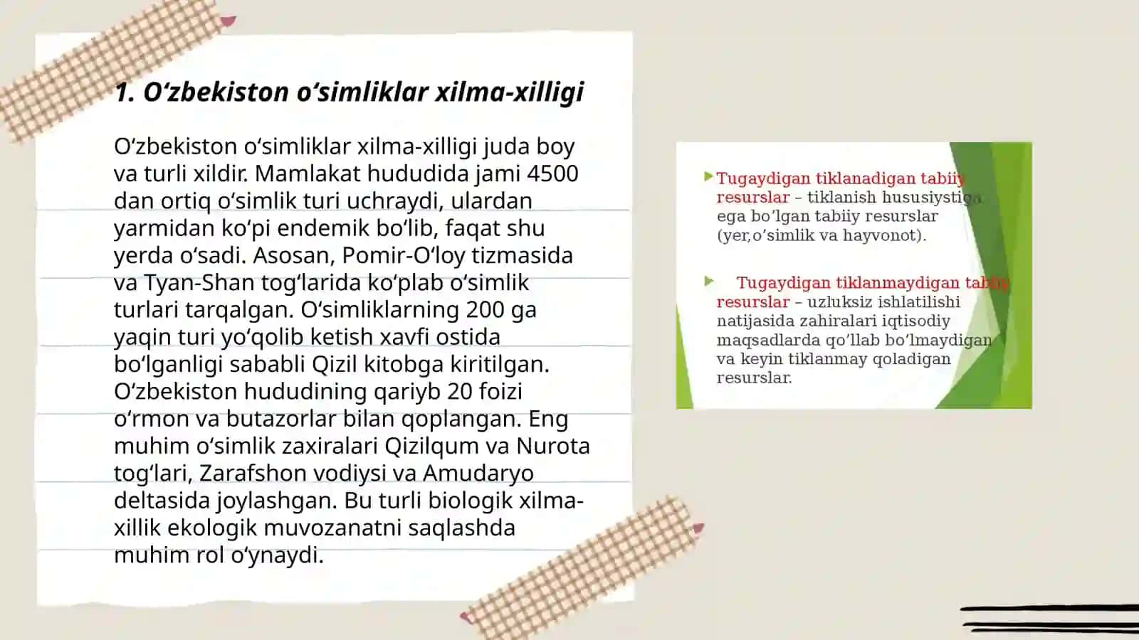 Oʻzbekiston oʻsimliklari va ularni muhofaza qilish 3