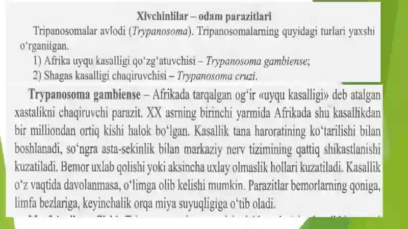 Hivchinlilar-odamparazitlari: Tripanasoma, trixonomada 3