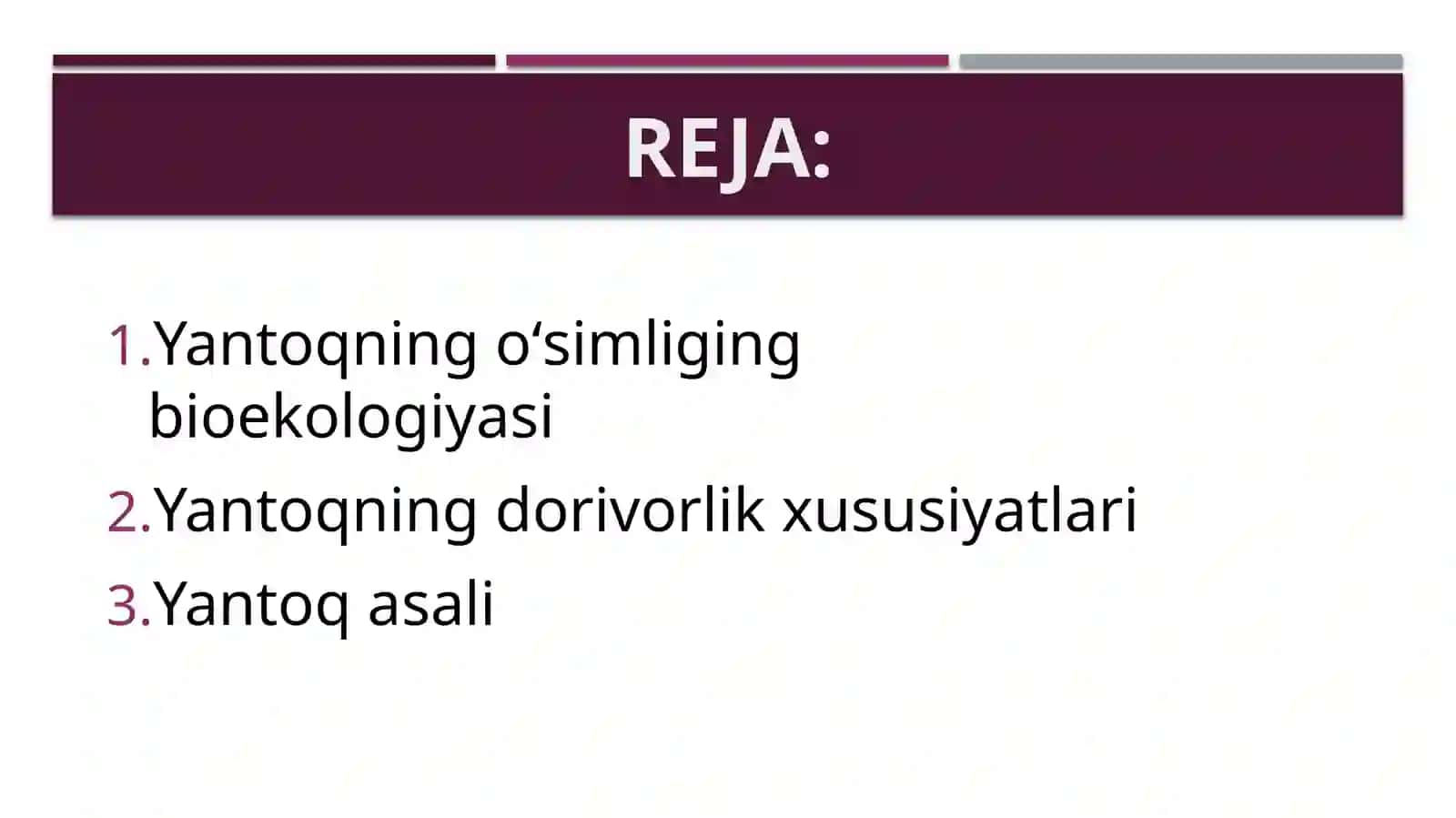 Yantoq oʻsimligining bioekologik va dorivorlik xususiyatlari 3