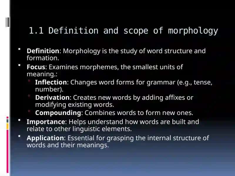 FUNDAMENTALS OF MORPHOLOGY AND WORD STRUCTURE 3