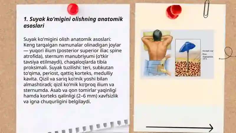 Suyak koʻmigini olish texnikasi, turlari. Trepanobiopsiya. Kilinik ahamiyati 3