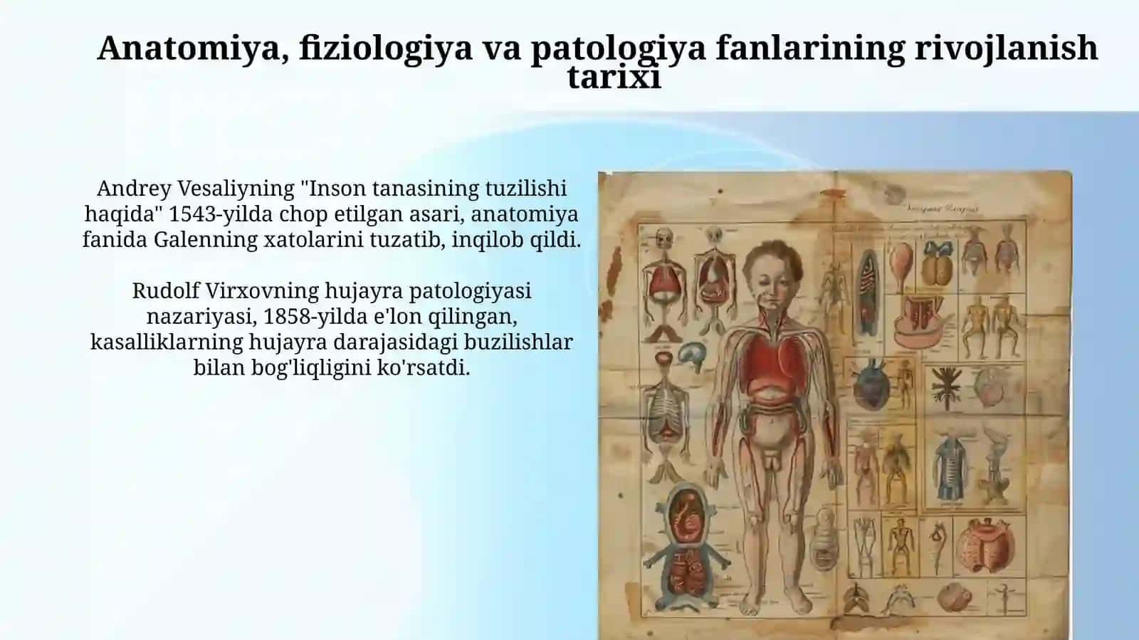 Inson anatomiyasi, fiziologiyasi va patologiyasi 3