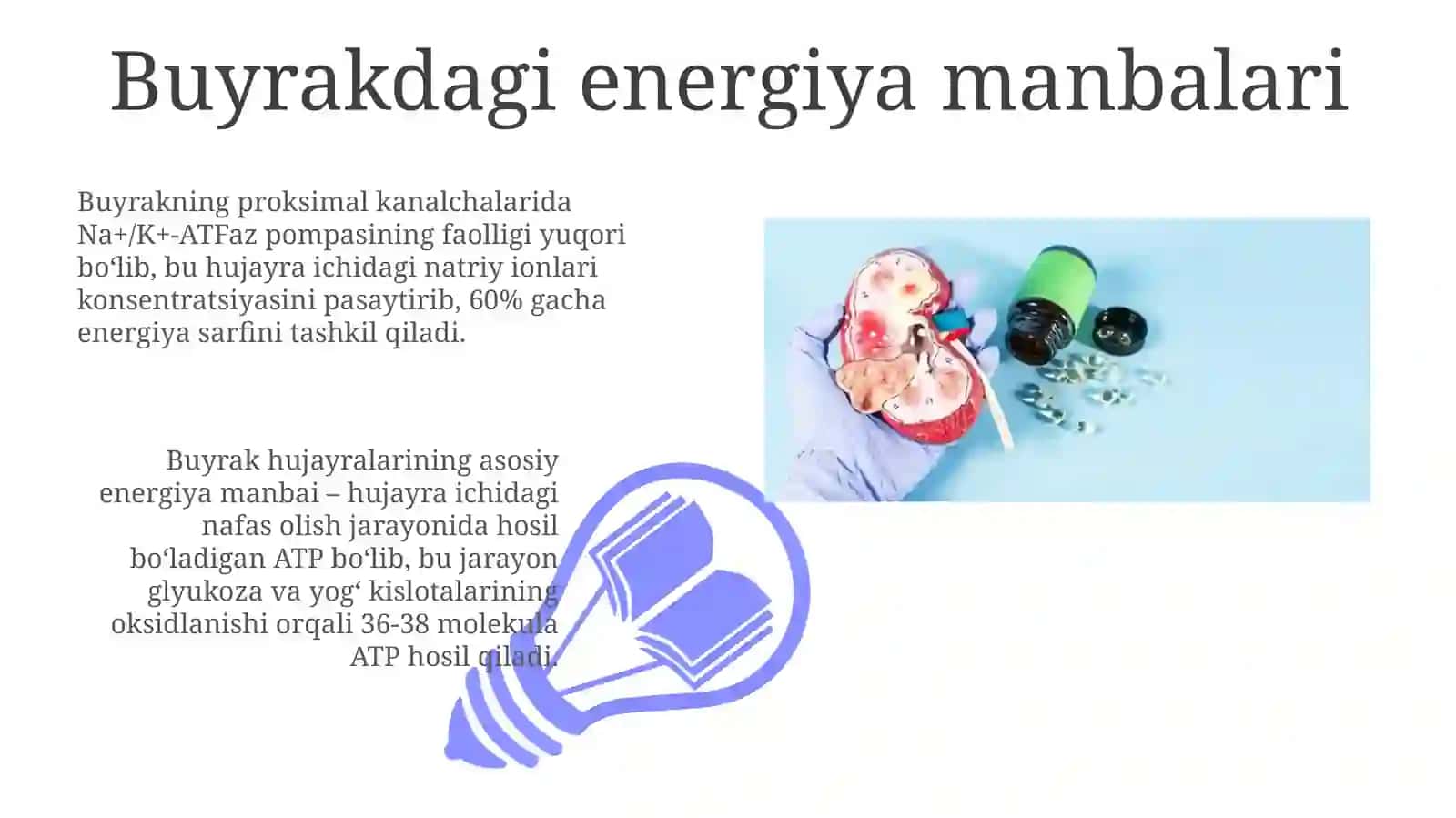 Buyrak metabolizmidagi kaltsiy, fosfor va bikarbonat uchun energiya ta'minoti 3