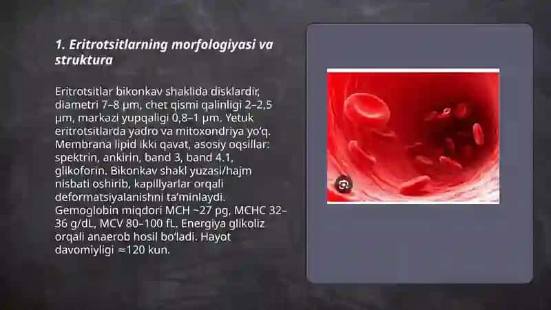Eritrotsitlar 3
