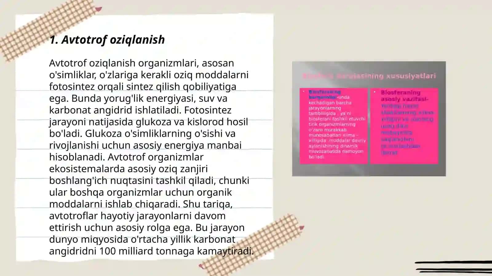 Avtotrof oziqlanish 3
