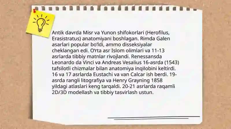 Tibbiy illyustratsiya va anatomiya chizmalarining tarixi 3