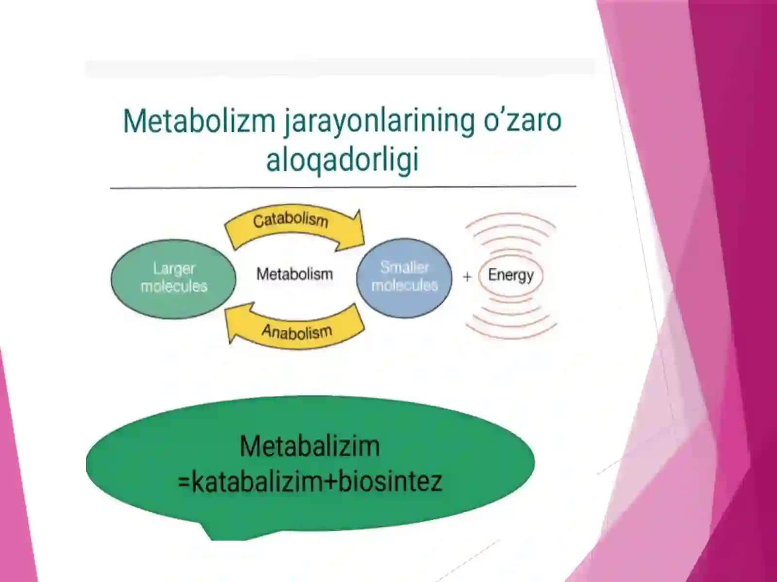 METABOLIZM JARAYONIDA ENERGIYANING HOSIL BOʻLISHI VA SARFLANISHI 3