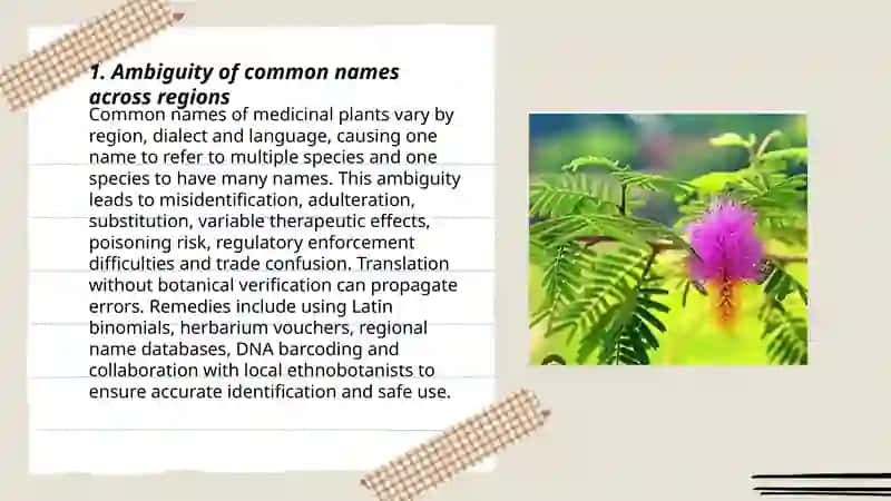 Challenges in translating names of medicinal plants 3