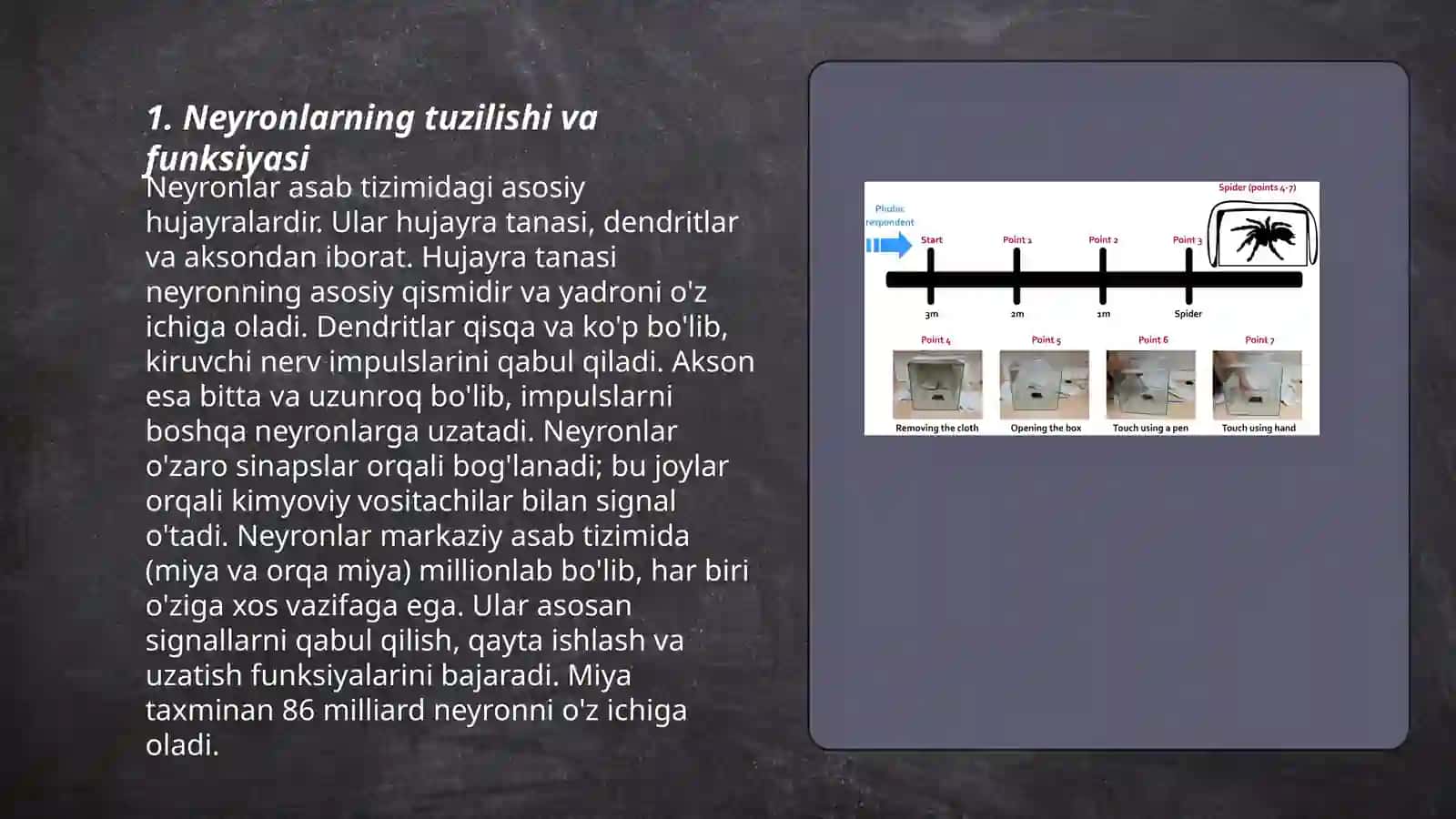 Xulq-atvorning nerv-fizioligik asoslari 3