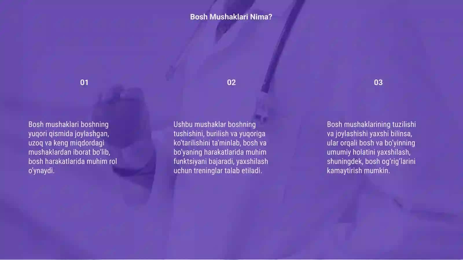 Bosh Mushaklari 3