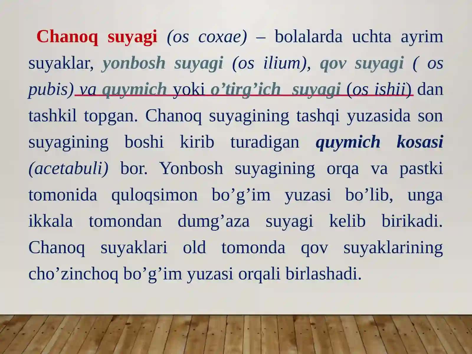 Osteologiya. Oyoq suyaklarining tuzilishi 3